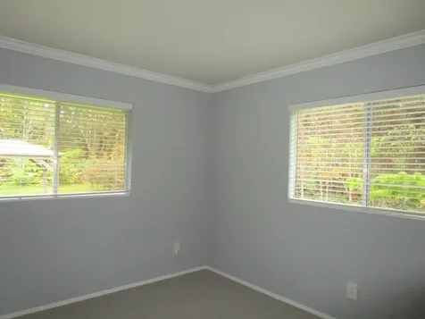 11-3893 7th Street Volcano HI 96785