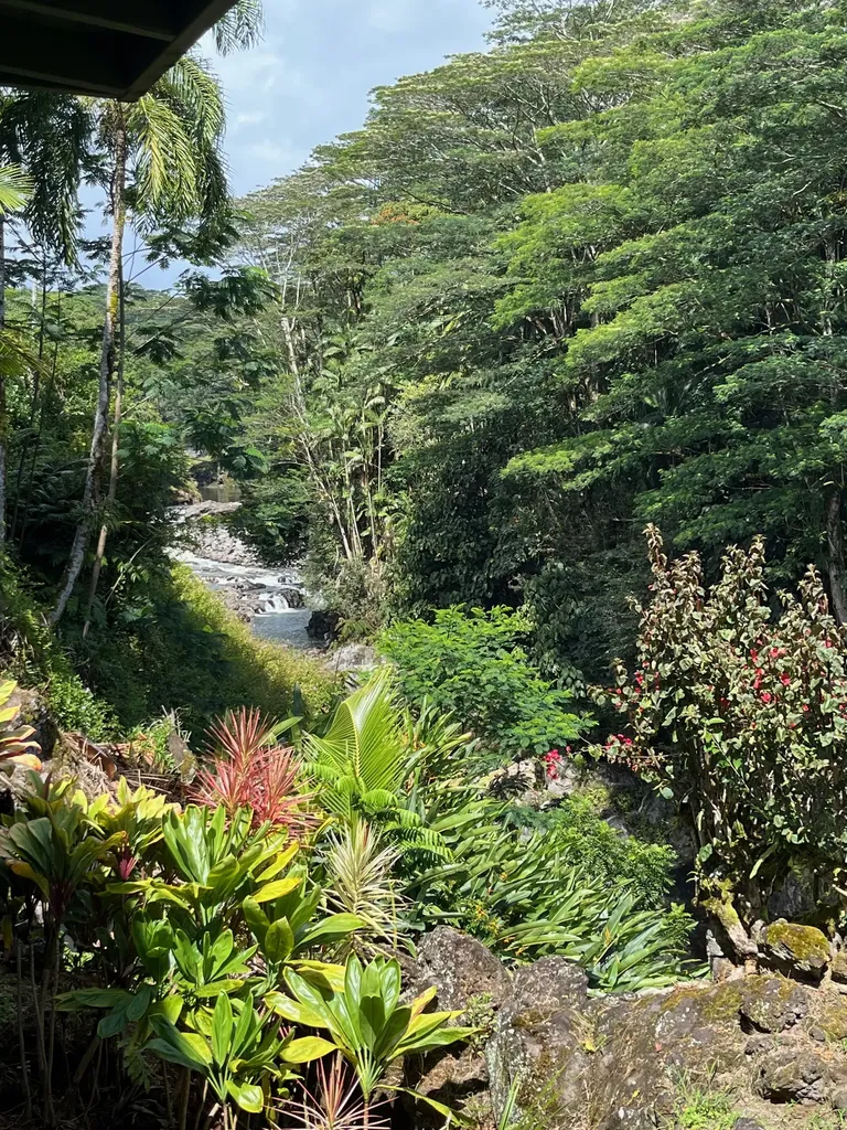 254 Kaiulani Street Hilo HI 96720