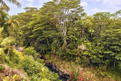 254 Kaiulani Street Hilo HI 96720