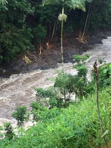 254 Kaiulani Street Hilo HI 96720