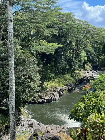 254 Kaiulani Street Hilo HI 96720