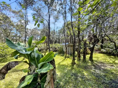 11-3950 Liona Street Volcano HI 96785