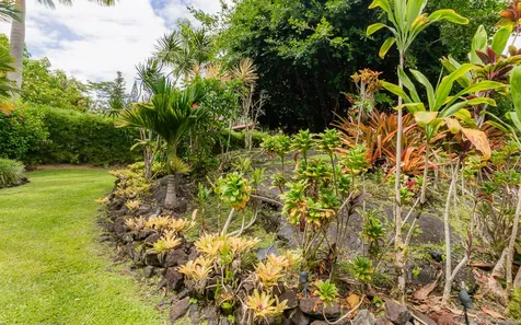 15-429 Anae Street Pahoa HI 96778