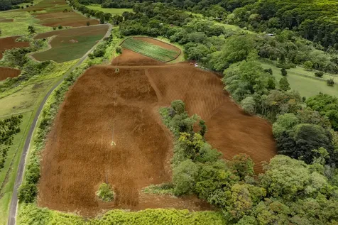 1436 Maikalani Street Hilo HI 96720