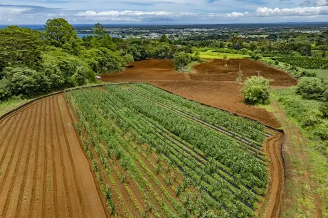 1436 Maikalani Street Hilo HI 96720