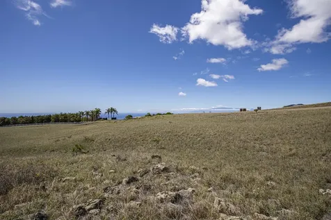 Maluhi Street Kamuela HI 96743