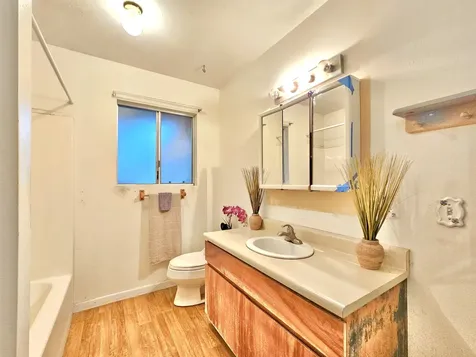 64-5287 Puu Nanea Street Kamuela HI 96743