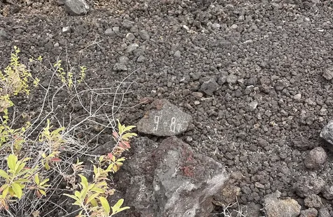 Akahi Avenue Captain Cook HI 96704