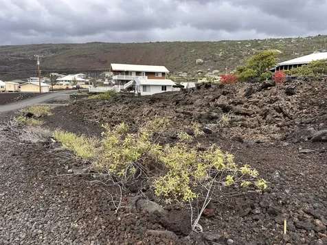 Akahi Avenue Captain Cook HI 96704