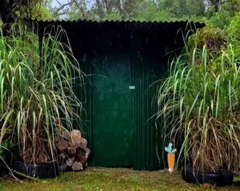 11-2769 Lehua Street Mountain View HI 96771