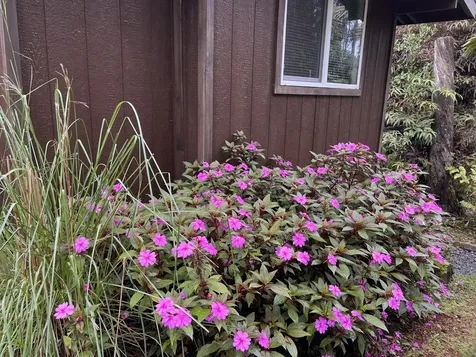 11-2769 Lehua Street Mountain View HI 96771