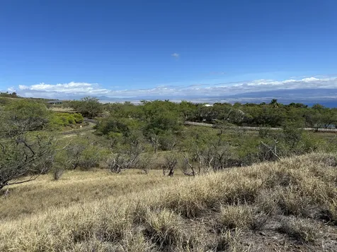 59-106 Olomana Road Kamuela HI 96743