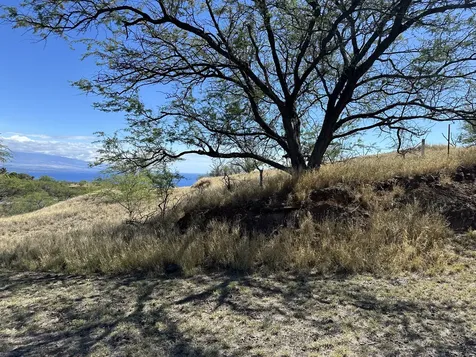 59-106 Olomana Road Kamuela HI 96743