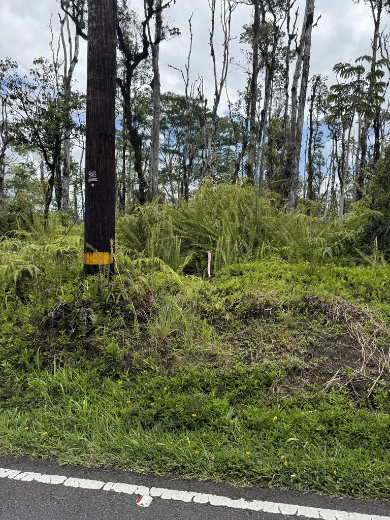 Road 9 (koloa Maoli) Kurtistown HI 96760