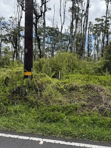 Road 9 (koloa Maoli) Kurtistown HI 96760