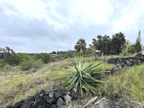 88-1484 Awapuhi Place Captain Cook HI 96704