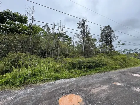 34TH Avenue Kurtistown HI 96760