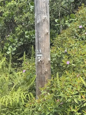 34TH Avenue Kurtistown HI 96760