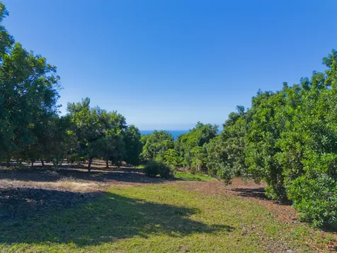 83-5611 Middle Keei Road Captain Cook HI 96704