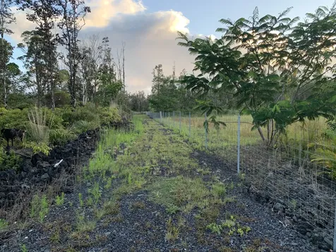 16-1436 Uhini Ana Road Mountain View HI 96760