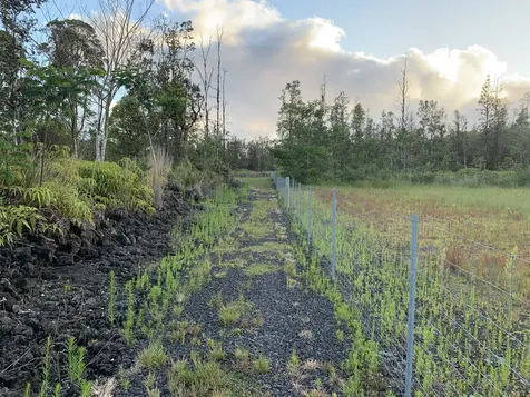 16-1436 Uhini Ana Road Mountain View HI 96760