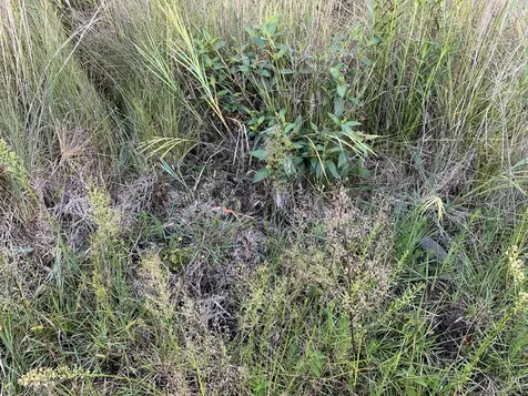 16-1436 Uhini Ana Road Mountain View HI 96760