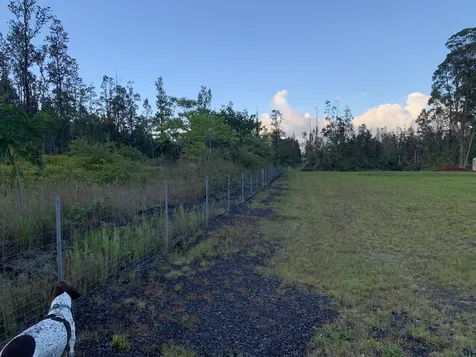 16-1436 Uhini Ana Road Mountain View HI 96760