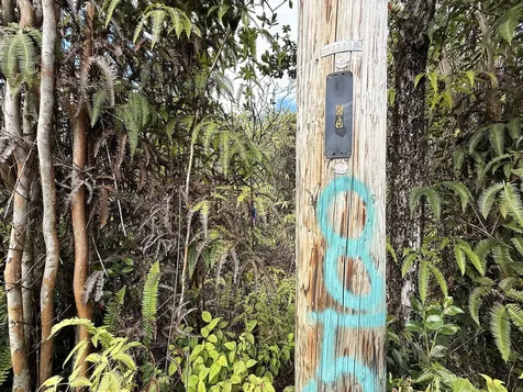 Lehua Street Mountain View HI 96771