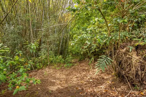 44-3275 Hoo Kahua Road Honokaa HI 96727