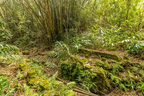 44-3275 Hoo Kahua Road Honokaa HI 96727