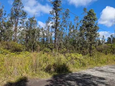 3954 Road 5 (UAU) Mountain View HI 96760