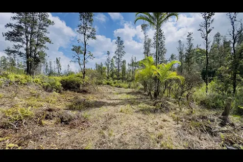 Uhini Ana Road Mountain View HI 96760