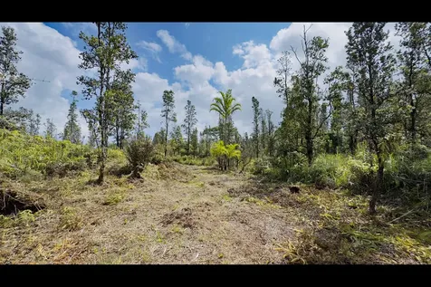 Uhini Ana Road Mountain View HI 96760