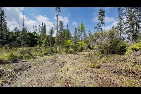 Uhini Ana Road Mountain View HI 96760