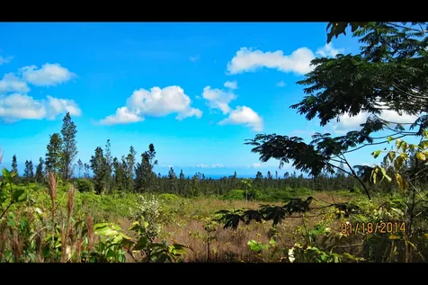 Uhini Ana Road Mountain View HI 96760