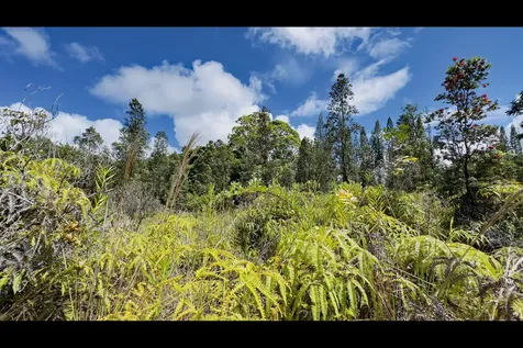 Uhini Ana Road Mountain View HI 96760