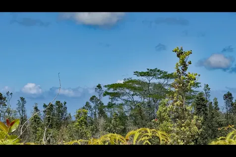 Uhini Ana Road Mountain View HI 96760