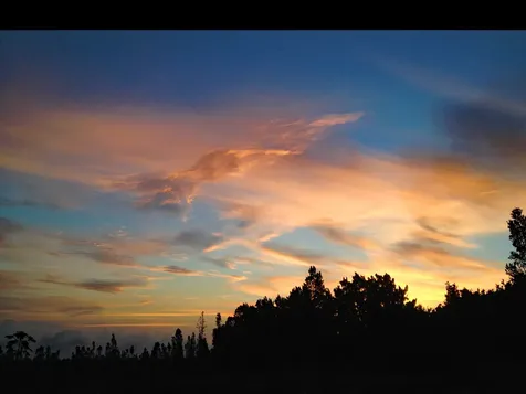 Uhini Ana Road Mountain View HI 96760