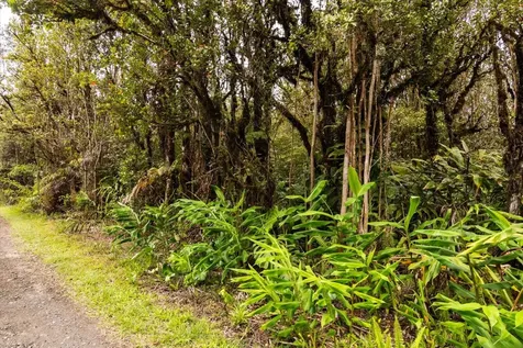 Ohelo Street Mountain View HI 96771