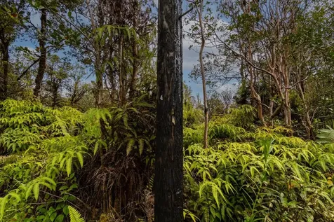 Ohelo Street Mountain View HI 96771