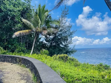 12-7026 Wehelauniu Street Pahoa HI 96778