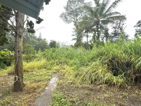 15-2712 Nenue Street Pahoa HI 96778