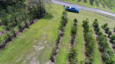 Captain Cook HI 96704