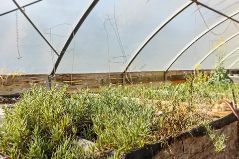 32-520 Piha Kahuku Road Ninole HI 96773