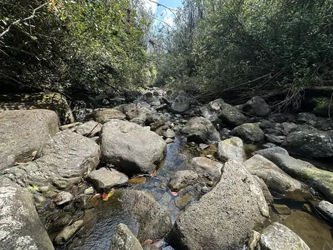 32-520 Piha Kahuku Road Ninole HI 96773