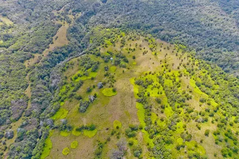 Laupahoehoe HI 96764