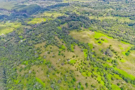 Laupahoehoe HI 96764