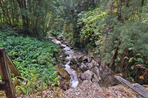 Laupahoehoe HI 96764