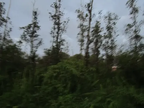 16-1948 Sandalwood Court Kurtistown HI 96760