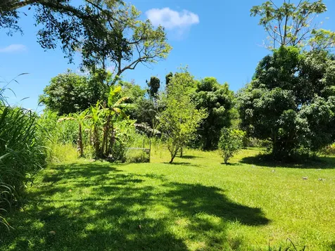 15-2687 Kaku Street Pahoa HI 96778